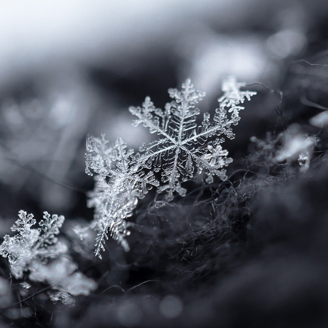 Shimmering Snowflake