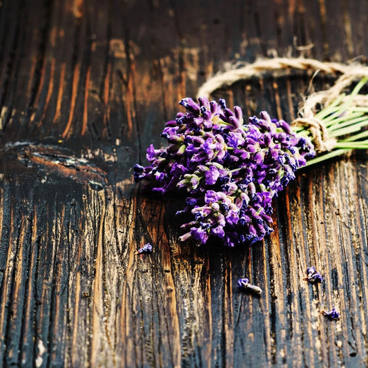 Black Amber and Lavender